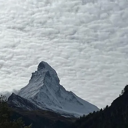 Styria Zermatt